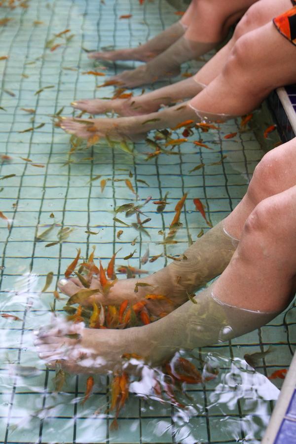 Jenq Yang Hotspring Hotel Ren'ai Esterno foto